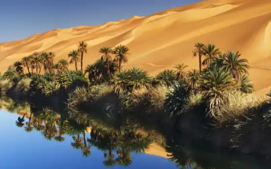 песок, пустыне, пустыня, озера, сказочный, оазис, убари, африканской, 
