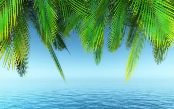 фон, пальма, искусство, качество, море, в первую очередь, морской берег, эко