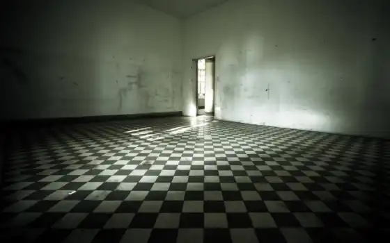 шафер, комната, белый, абстрактный, черный