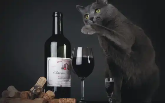 обои на рабочий стол, красивые картинки, картинки для ipad, обои для android