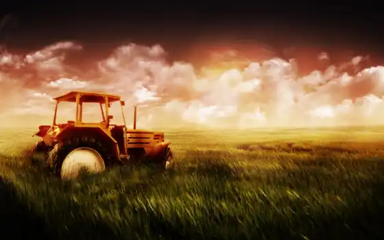 поле, трактор, голова, трава, 