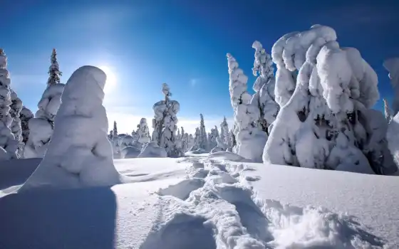 дрейф, зима, финляндия