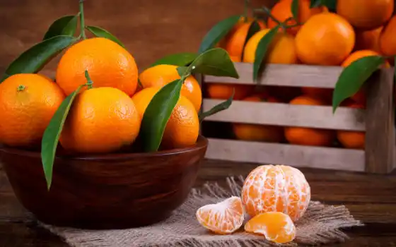 tangerine, meal, лист