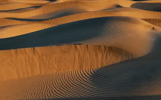 пустыня, дюна, песок, Индия, сара, тар, фото, эрг, индиец, пустыня, Раджастхан