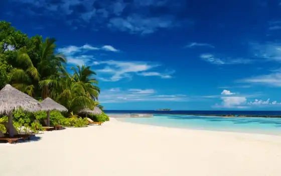 ,, океан, пальмы, пляж, небо, тропическая зона, синий, природа, пляж, море, океан, Карибский, берег, 