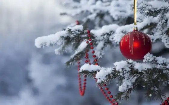 новый, год, елке, новогодние, живой, игрушка, новогодняя, елка, праздник, снег, happy, игрушки, 