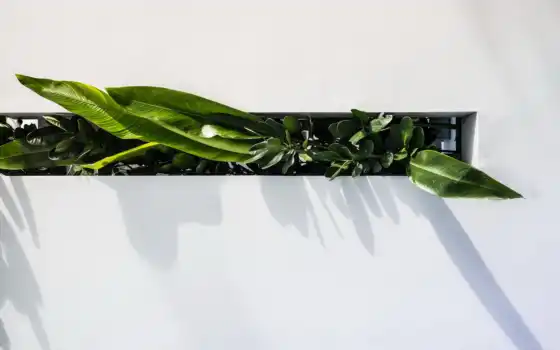 обои на рабочий стол, красивые картинки, картинки для ipad, обои для android