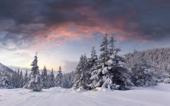 зимнее, лесное, рассветное, елки, горка, облака,