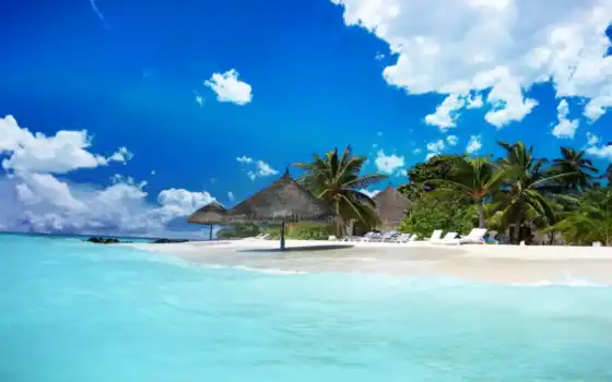 maldives, ipad, туры, flights, отдых, 