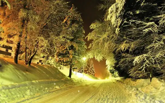 зима, горные, ночные, деревья, фонари, уютная, веселая,