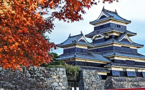 castle, япония, matsumoto, trees, nagano, guide, 