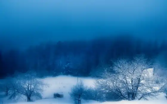 зима, снег, туман, вечер, природа, 