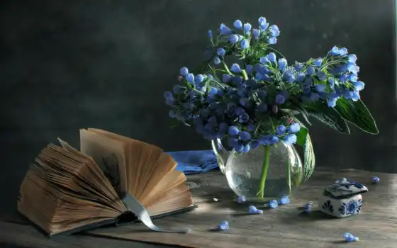 книга, ваза, книги, cvety, натюрморт, голубые, tape, 