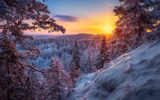 зима, снег, рано, впереди, солнце, закат, природа