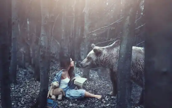 медведь, девушка, лес, книги, мишка, креатив, 