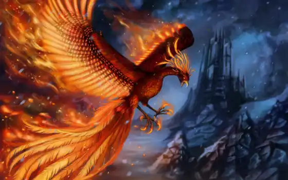 phoenix, птица, арта, крыло