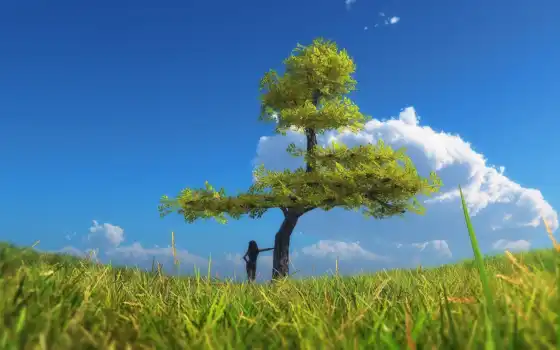 дерево, небо, идея, нечто, природа, трава