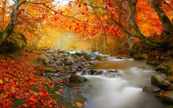 осень, водопад, река, лес, 