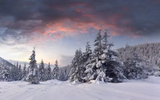 зима, елки, облака, рассвет, лес, сопки,