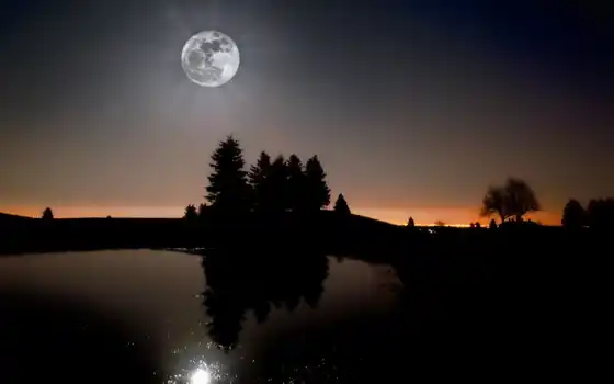 лунный свет