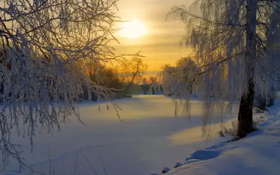 зимнее, утро, красивые, природы, 