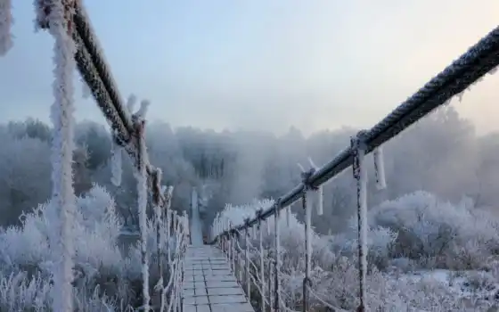 зима, мост, иней, снег, подвесной, лес, природа, 