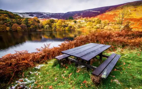 пейзаж, река, осень, дерево, скамейка, трава, лист