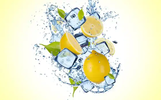 лимон, цитрусовый, воспроизводимый, плод, деталь, интернет, магазин, вода, круг, атака