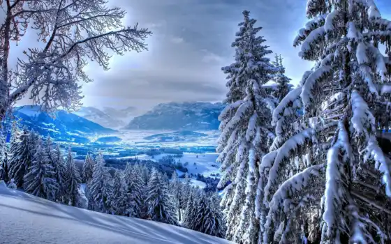 зима, горы, горные твердые, белые, блестящие, деревья, страница,