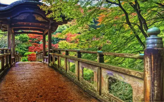 йокогама, парк, япония, красочные, растительность, мост деревянный,