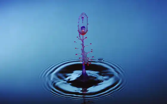  water, drop, plus, xenomorph, 
