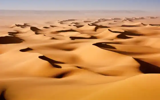 ,пустыня, дюны,