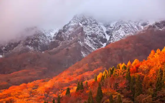гора, осень