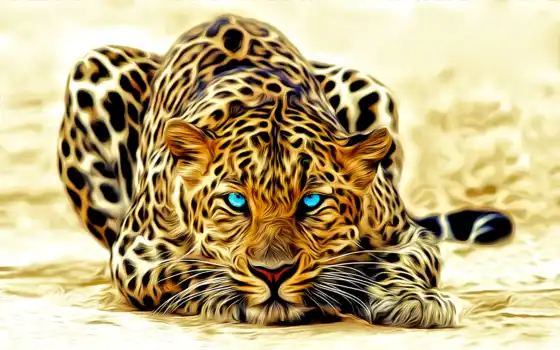 леопард, свет, голубые, окрас, лежит, голубыми, глазами, леопарда, 