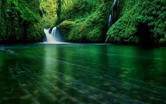 природа, водопад, зеленые, телефон, full, природы, шикарные, кб, 