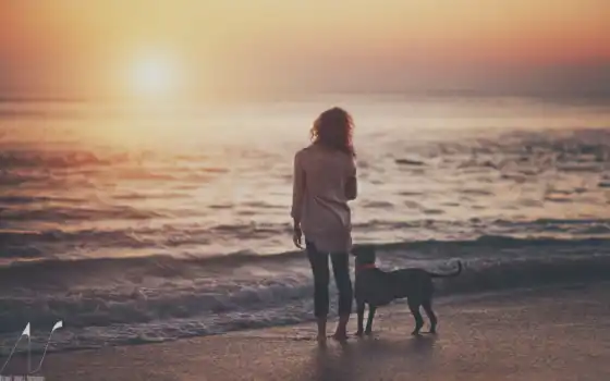 собака, девушка, море