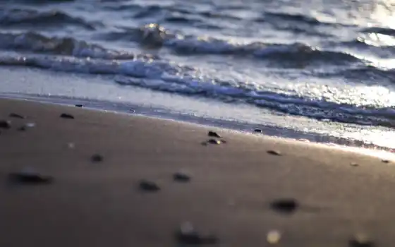 water, пляж, море, песок, природа, waves, shells, свет, макро, берег, 