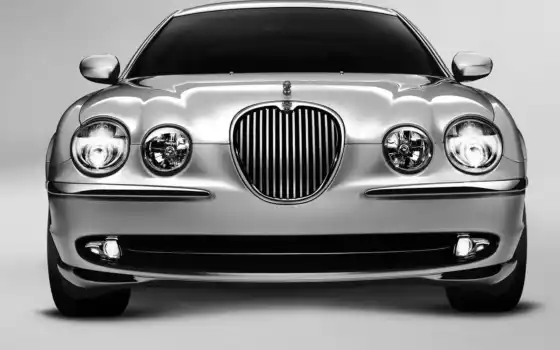jaguar, автомобиль, роскошь, транспортное средство, земля