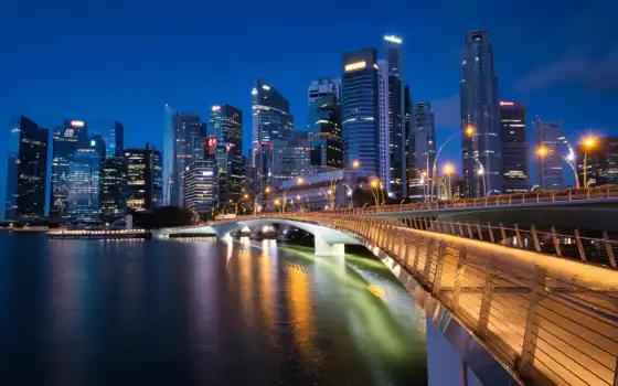 singapore, bay, марина, мост, build, merlion, небоскрёб, ночь, город, park