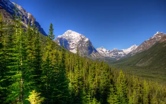 яшма, гора, дерево, парк, канада, пейзаж, озеро, природа, лес, редкий