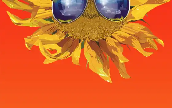 Подсолнух, цветы, растение, желтый, стекло, солнцезащитные очки