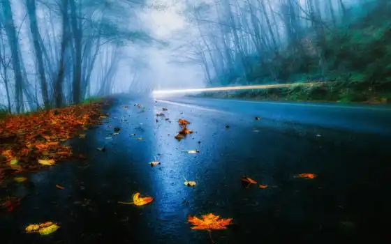 осень, деревянная, лесная, железная, град, туман, наса,