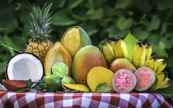 ананас, манго, плод, кокосовый, восхитительный, лайк, фрута, арбу