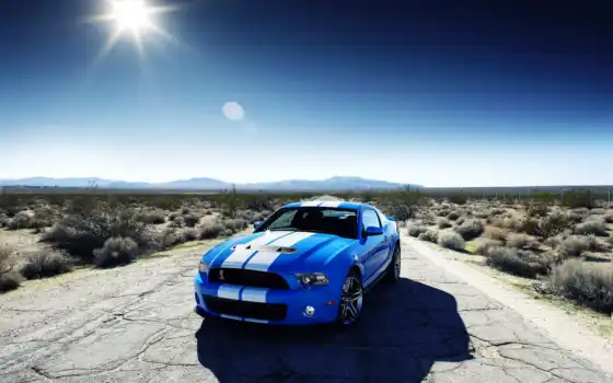 ford, shelby, mustang, ecran, loves, ipad, voiture,