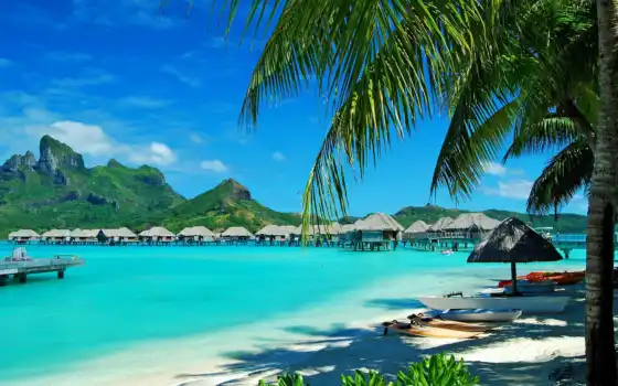 bora, море, остров, resort, hawaii, palm