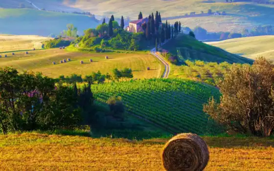 tuscany, стог, поле, сконец, пейзаж