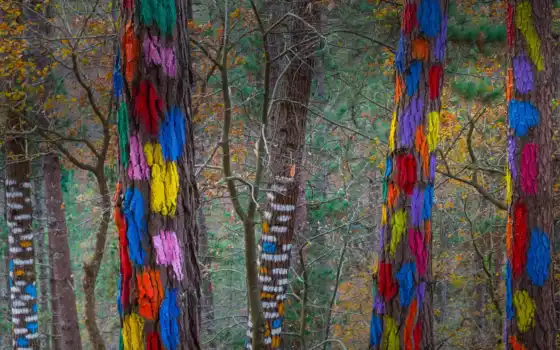 краска, искусство, лес