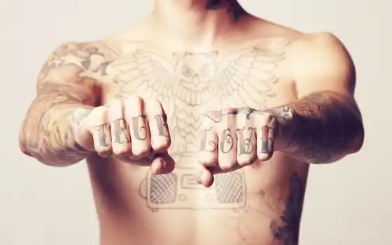 татуировка, надпись, кулак, торс, истинный, любовь