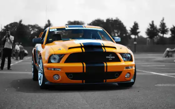 ford, mustang, shelby, car