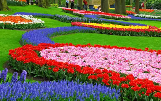 сада, тюльпан, туалет, ботанический, весна, парк, жилые, дворцовый, цветение, фестиваль